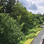 Pistenblume - Skipiste, Stadtzentrum Winterberg