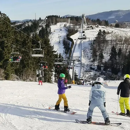 Pistenblume - Skipiste, Stadtzentrum Apartment