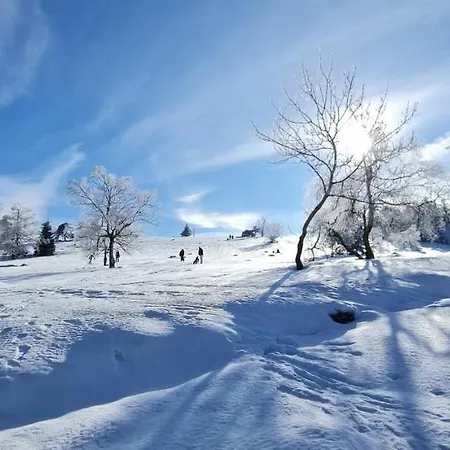 Pistenblume - Skipiste, Stadtzentrum Appartamento