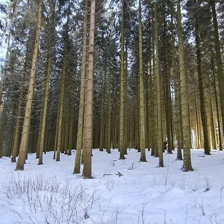 Pistenblume - Skipiste, Stadtzentrum Appartamento *