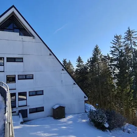 Pistenblume - Skipiste, Stadtzentrum Apartment