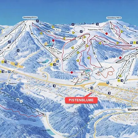 Pistenblume - Skipiste, Stadtzentrum Apartment *