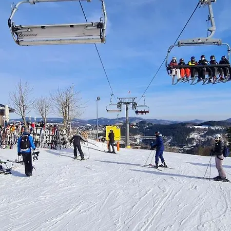 Pistenblume - Skipiste, Stadtzentrum *