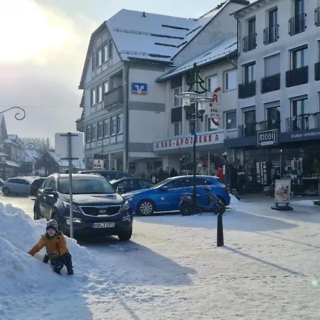 Pistenblume - Skipiste, Stadtzentrum Apartment *