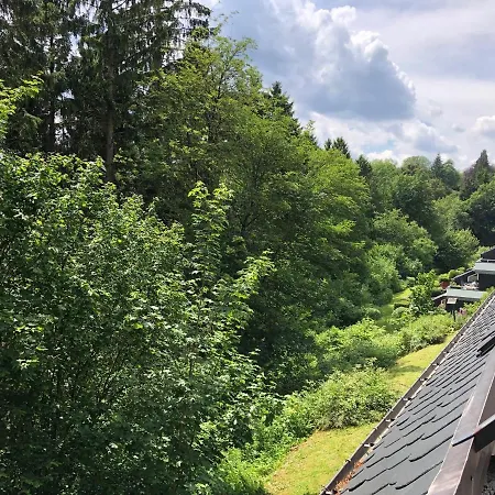 Pistenblume - Skipiste, Stadtzentrum