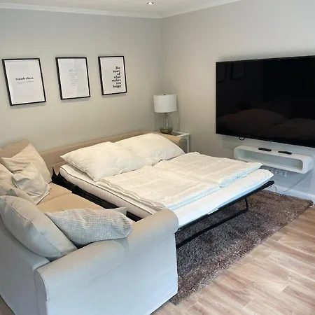 Pistenblume - Skipiste, Stadtzentrum Winterberg