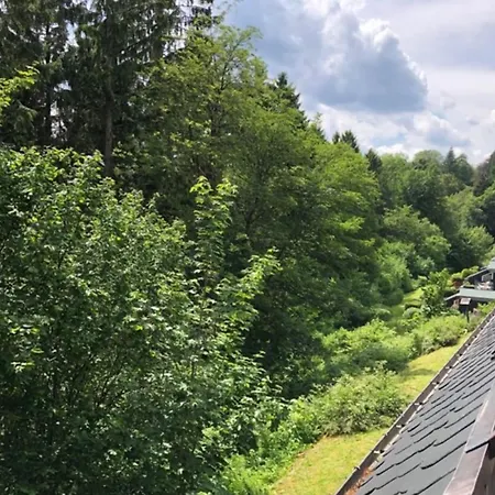 Pistenblume - Skipiste, Stadtzentrum Winterberg