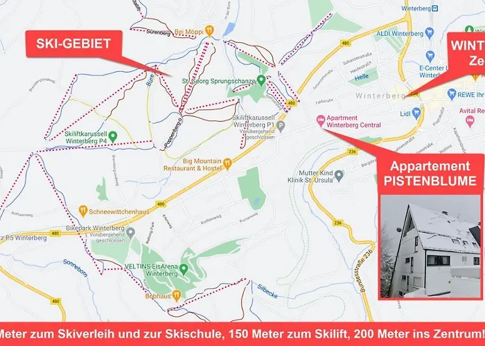 Pistenblume - Skipiste, Stadtzentrum Apartamento Winterberg