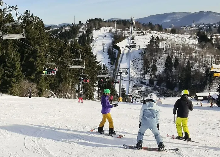 Pistenblume - Skipiste, Stadtzentrum Apartamento