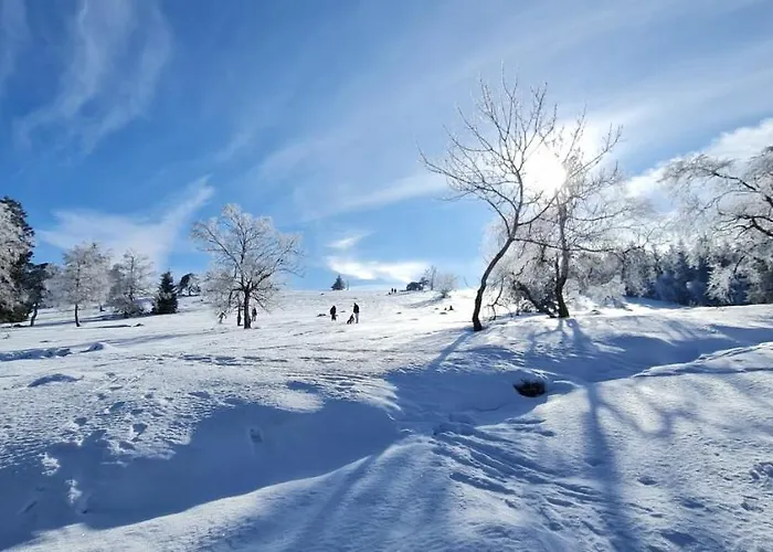 Pistenblume - Skipiste, Stadtzentrum Apartamento