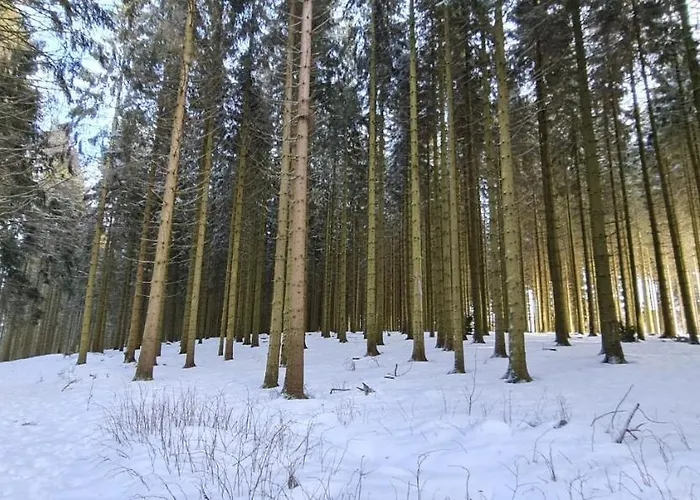 Pistenblume - Skipiste, Stadtzentrum Apartamento *